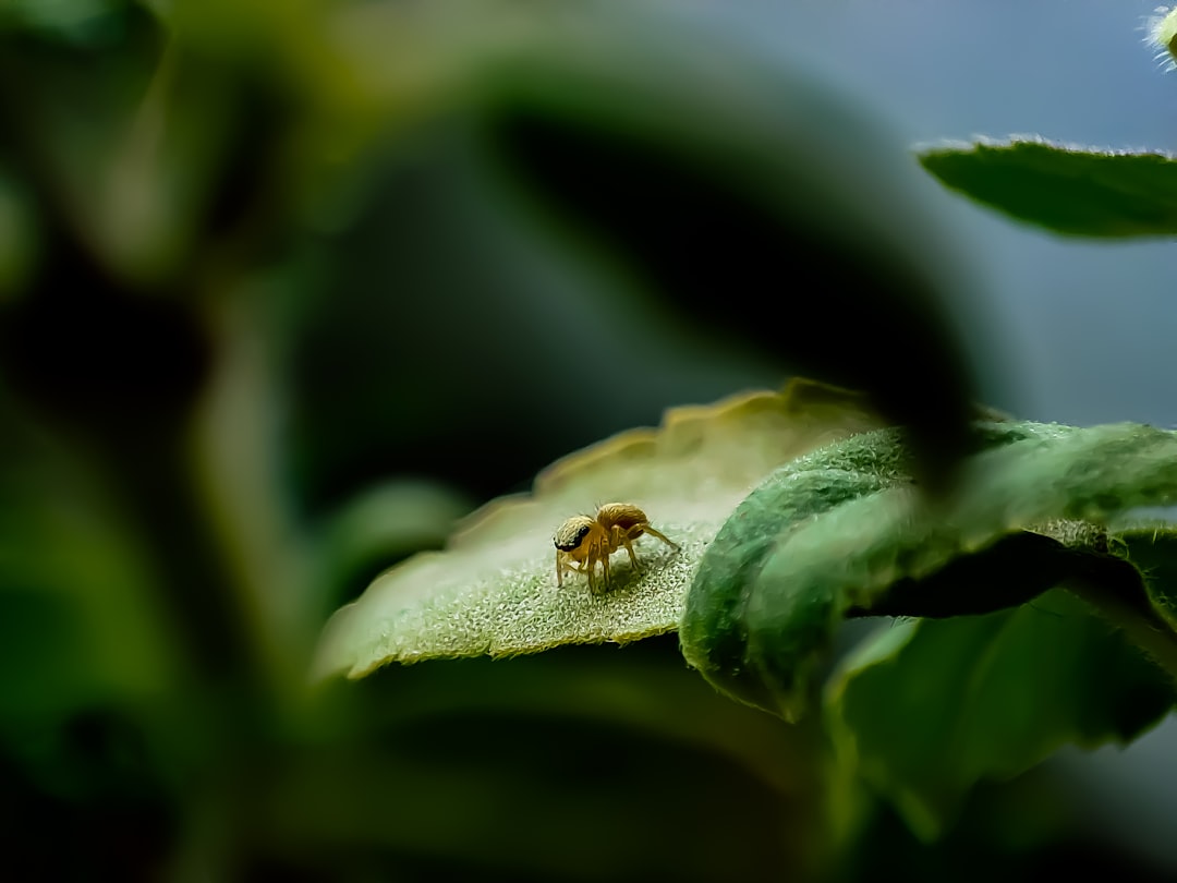 Photo by Sunder Muthukumaran on Unsplash